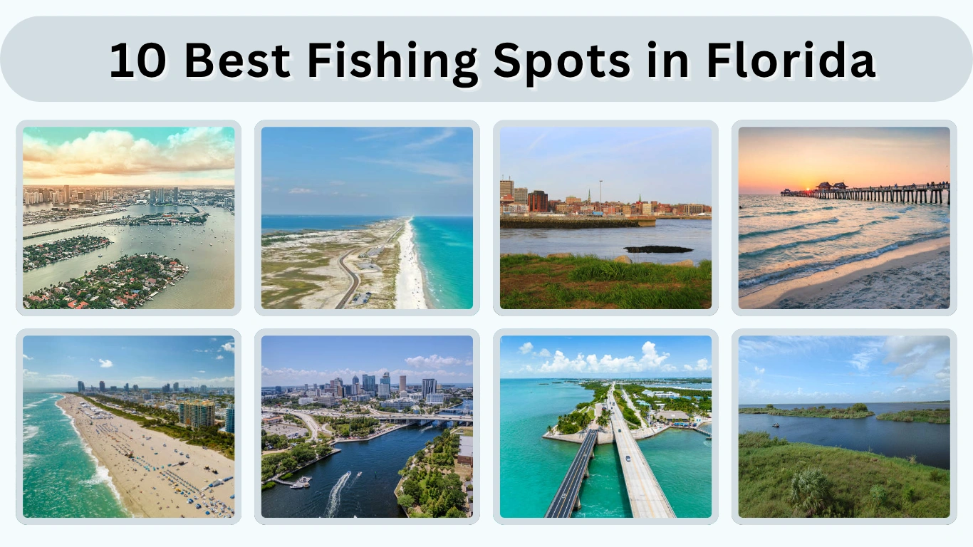 10 Best Fishing Spots in Florida for Every Angler