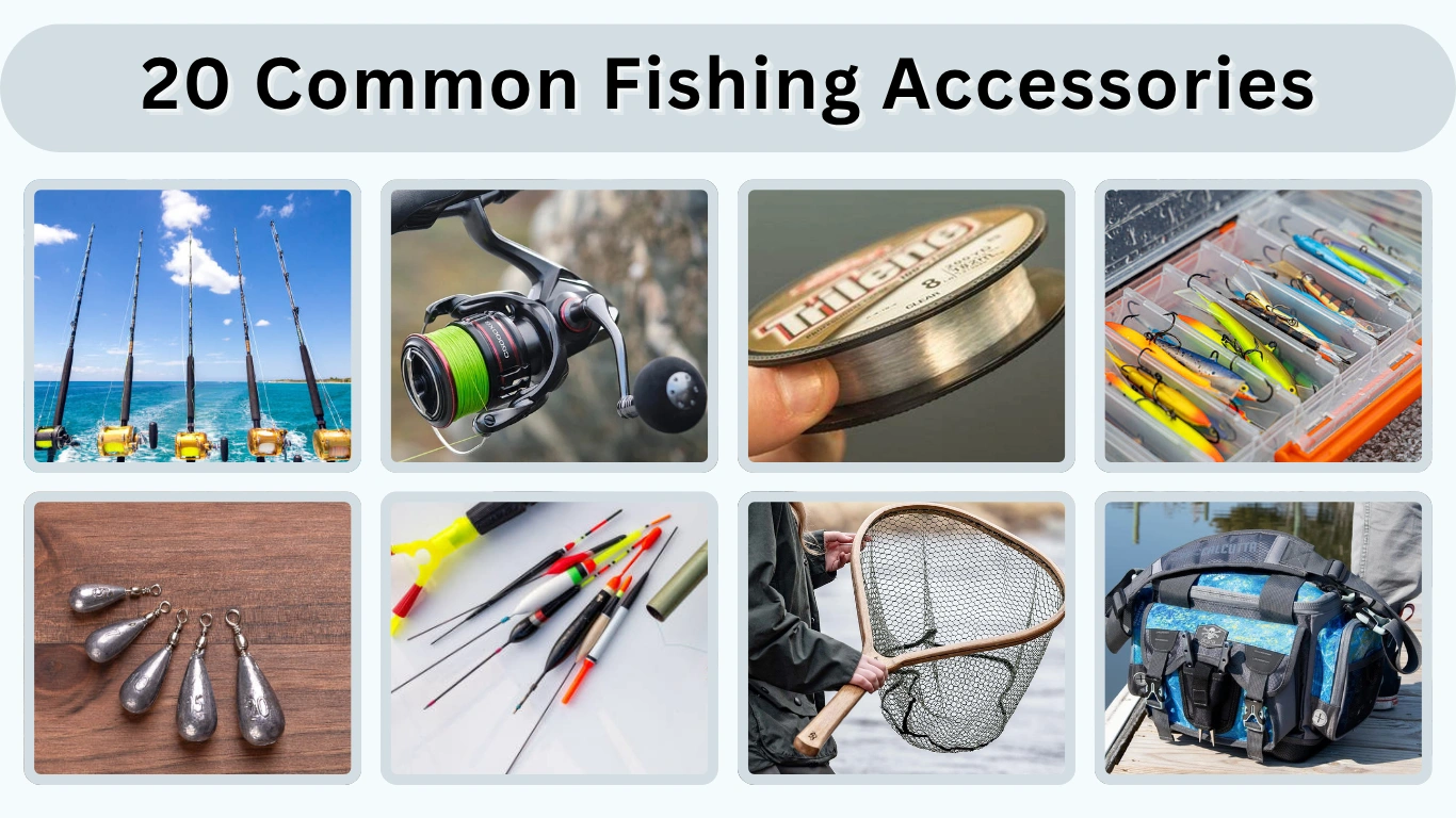 20 Common Fishing Accessories That Every Bigger Needs