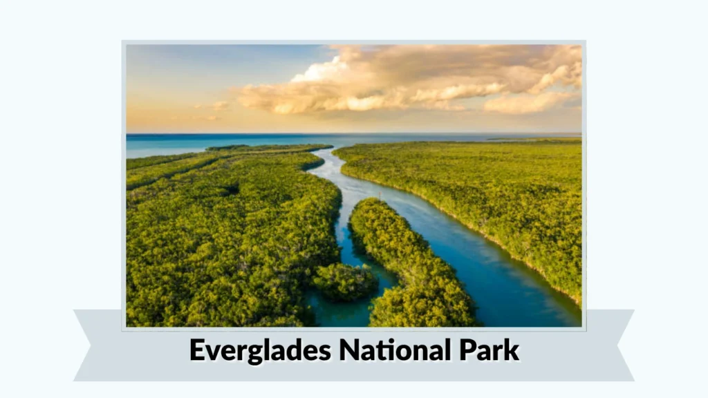 Everglades National Park