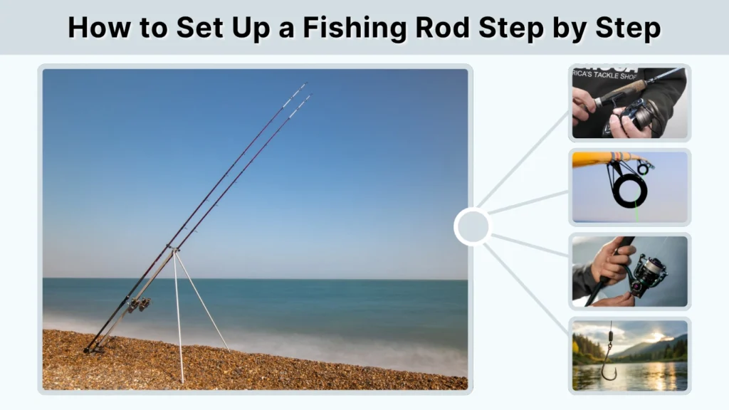 How to Set Up a Fishing Rod Step by Step