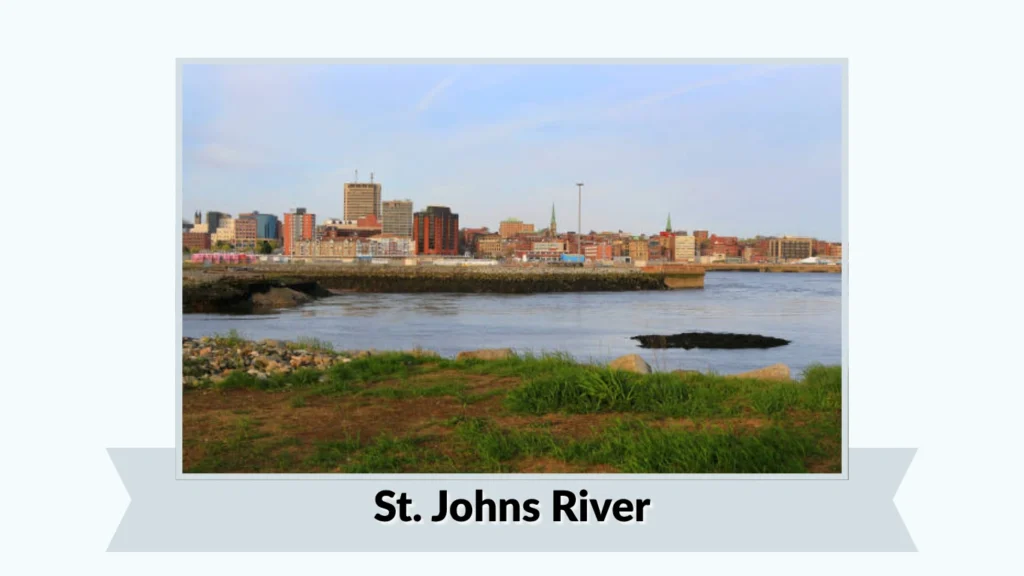 St. Johns River