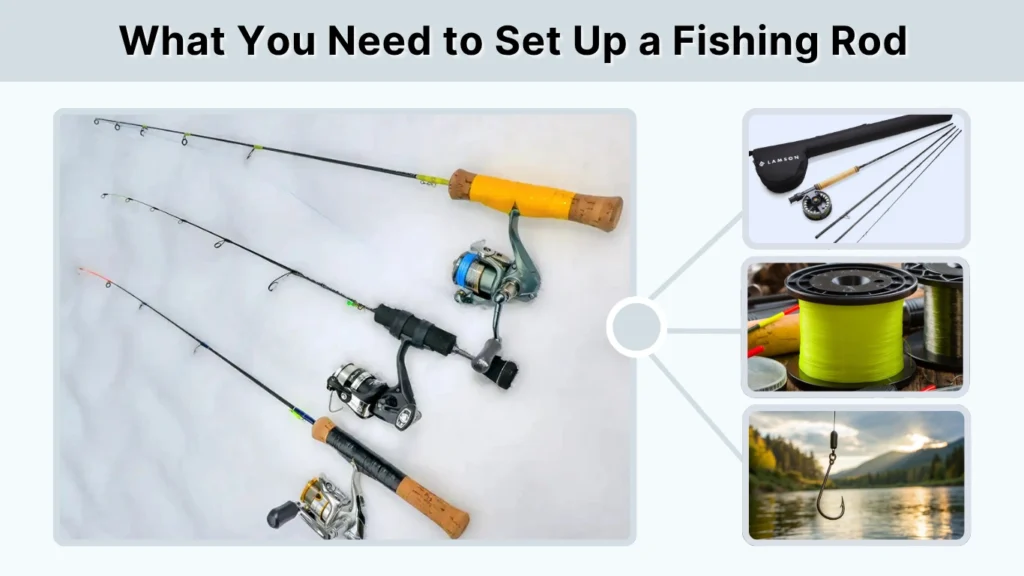 What You Need to Set Up a Fishing Rod