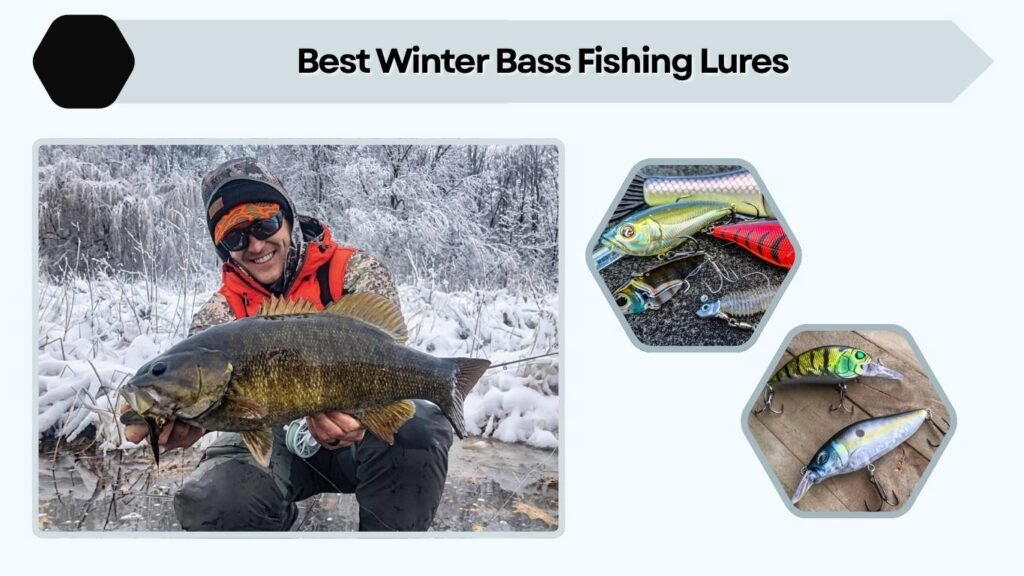 Best Winter Bass Fishing Lures
