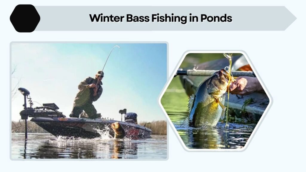 Winter Bass Fishing in Ponds