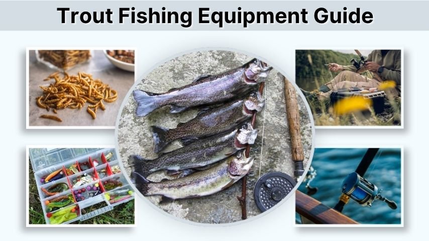 Trout Fishing Equipment Guide: What You Need to Start