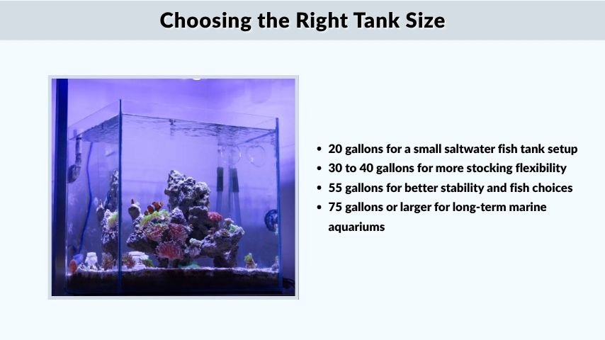Choosing the Right Tank Size