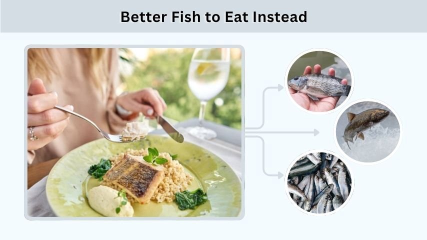 Better Fish to Eat Instead