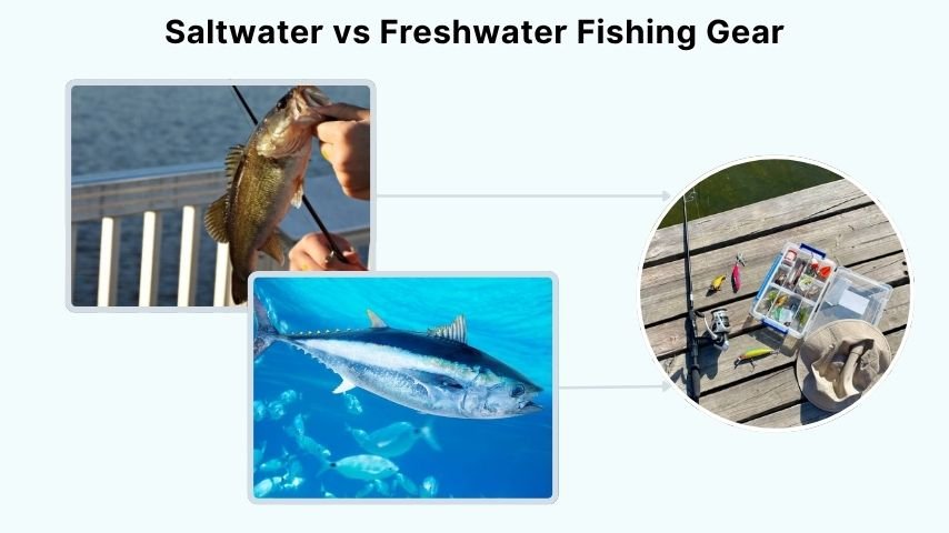 Saltwater vs Freshwater Fishing Gear