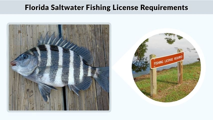 Florida Saltwater Fishing License Requirements