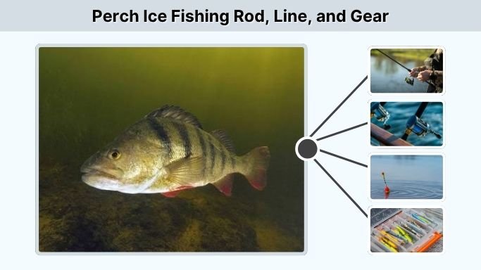 Perch Ice Fishing Rod, Line, and Gear
