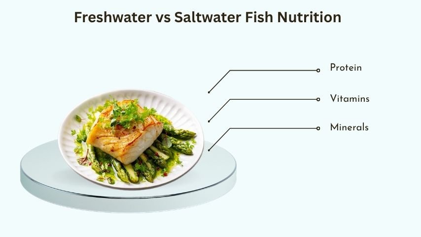 Freshwater vs Saltwater Fish Nutrition