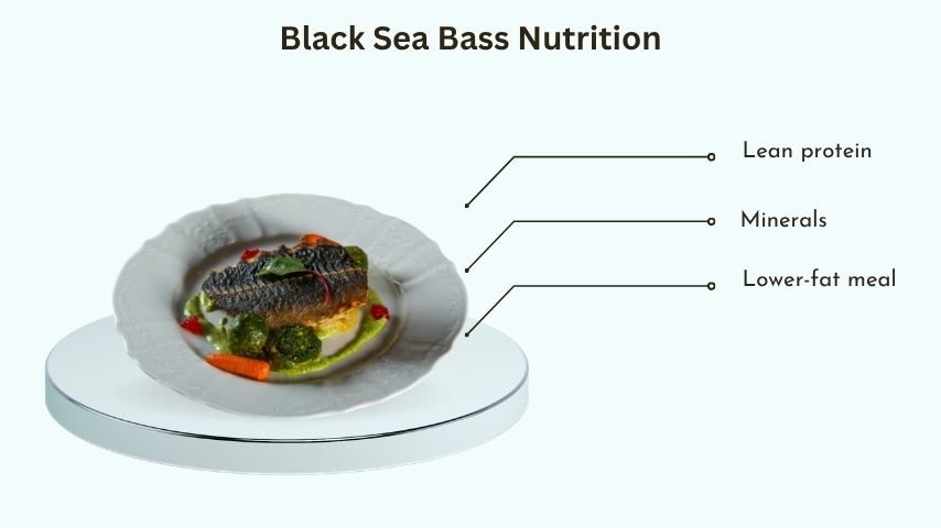 Black Sea Bass Nutrition
