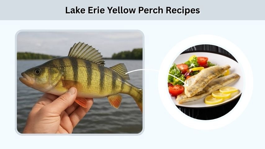 Lake Erie Yellow Perch Recipes