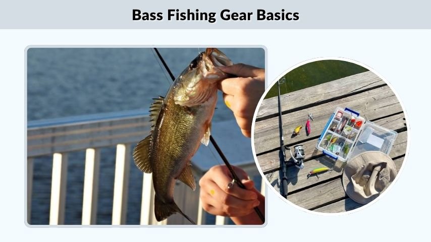 Bass Fishing Gear Basics