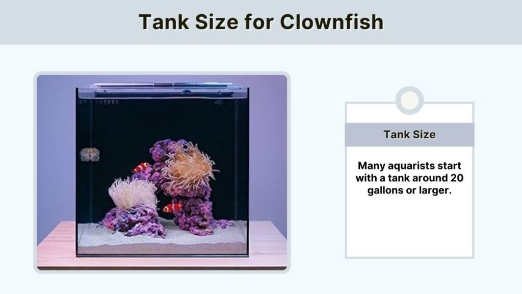 Tank Size for Clownfish