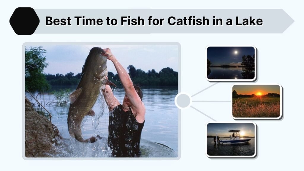 Best Time to Fish for Catfish in a Lake