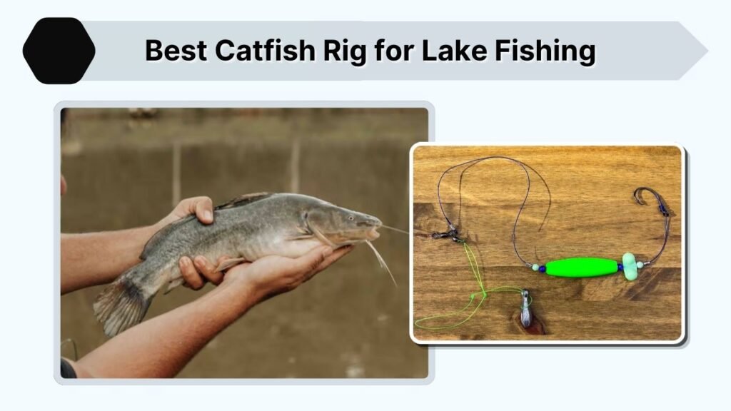 Best Catfish Rig for Lake Fishing