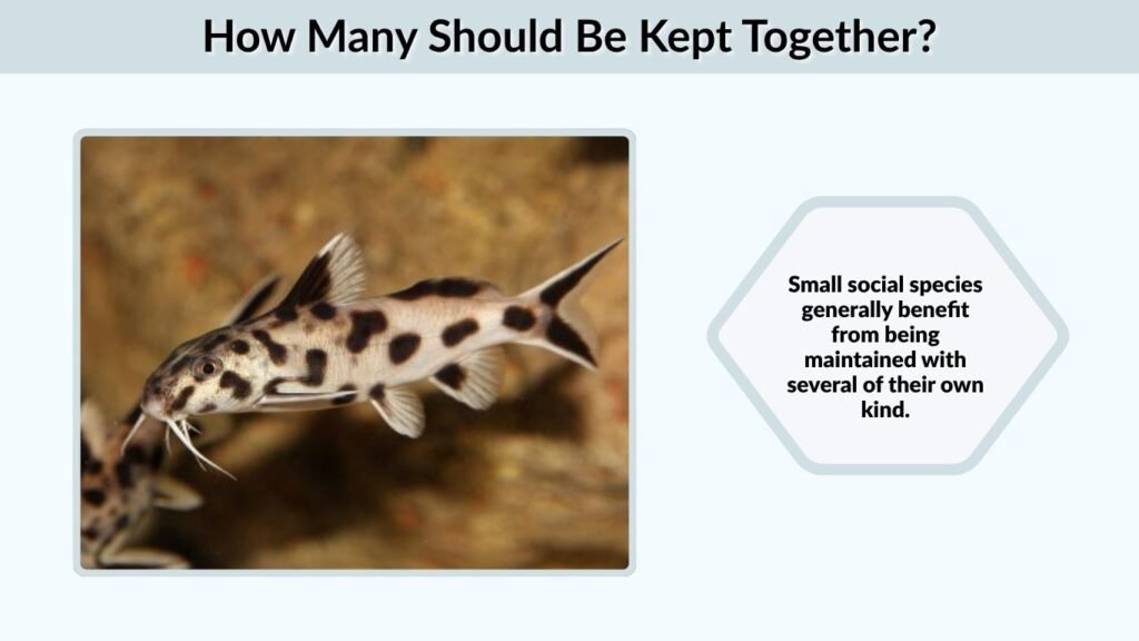 How Many Should Be Kept Together?