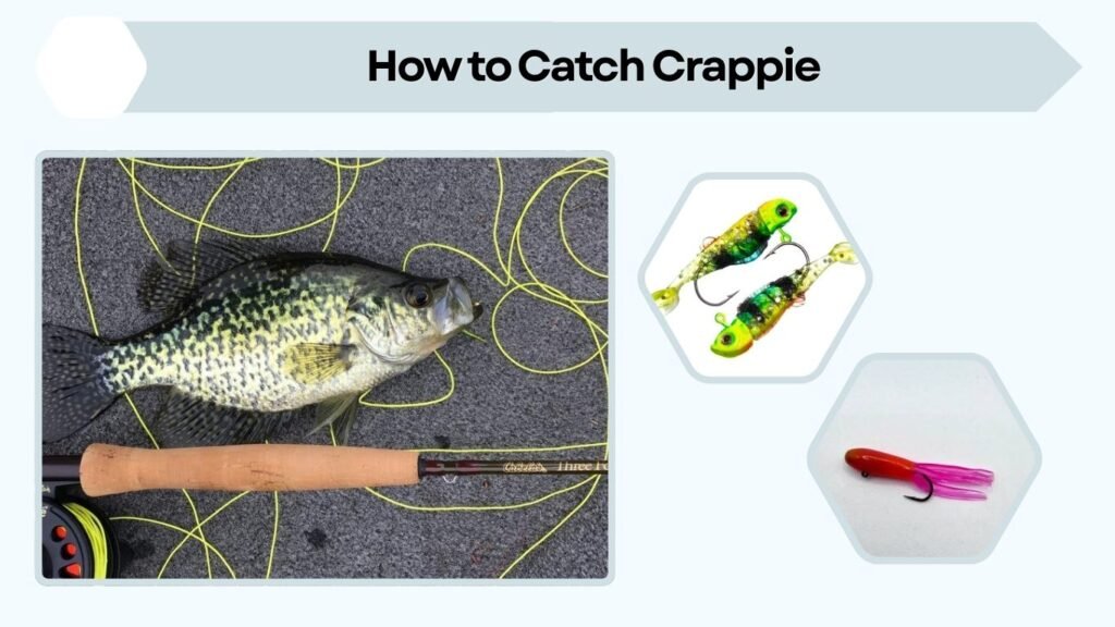 How to Catch Crappie