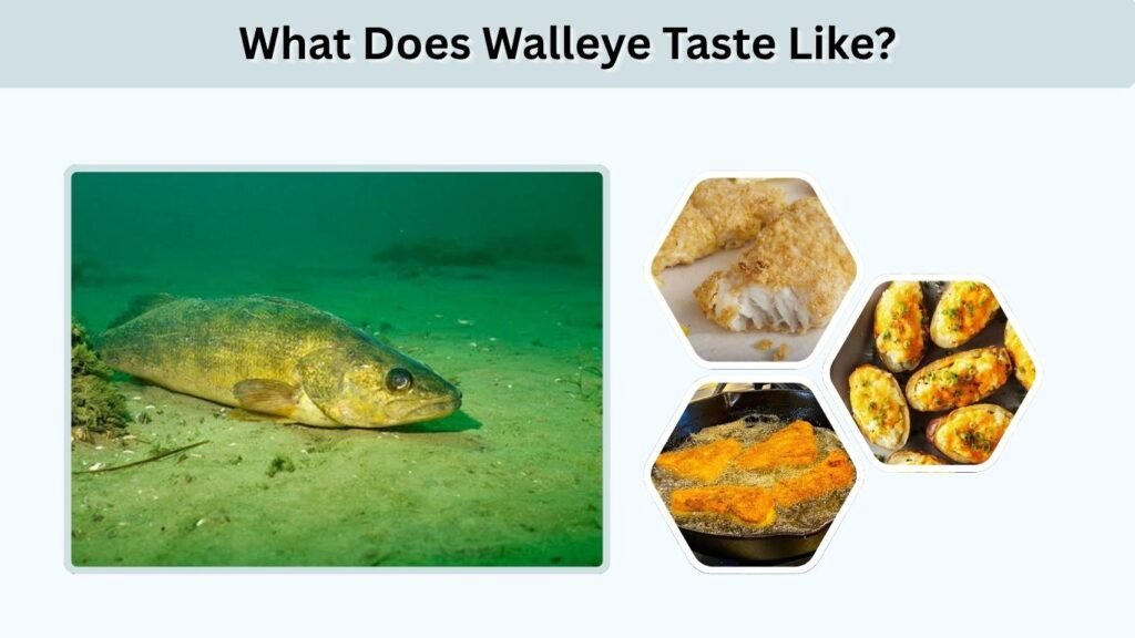 What Does Walleye Taste Like?