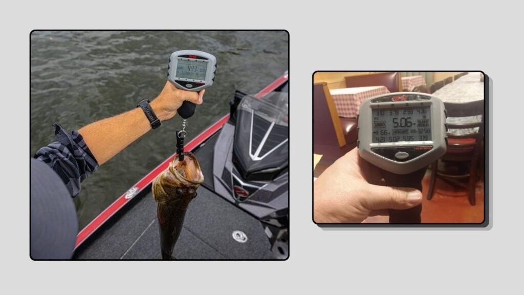 Rapala Touch Screen Tourney Scale