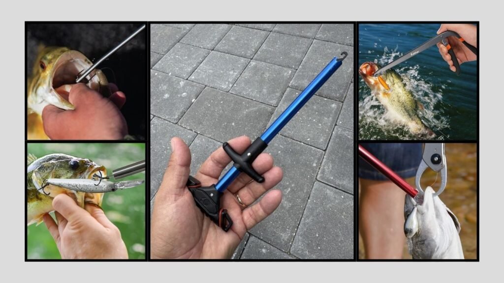 9 Best Fishing Hook Removers for Quick and Safe Hook Removal
