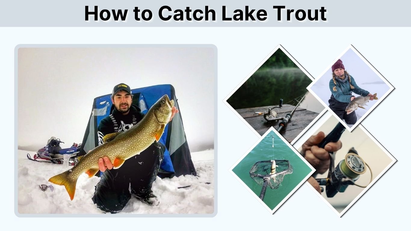 How to Catch Lake Trout: Best Bait, Lures & Techniques