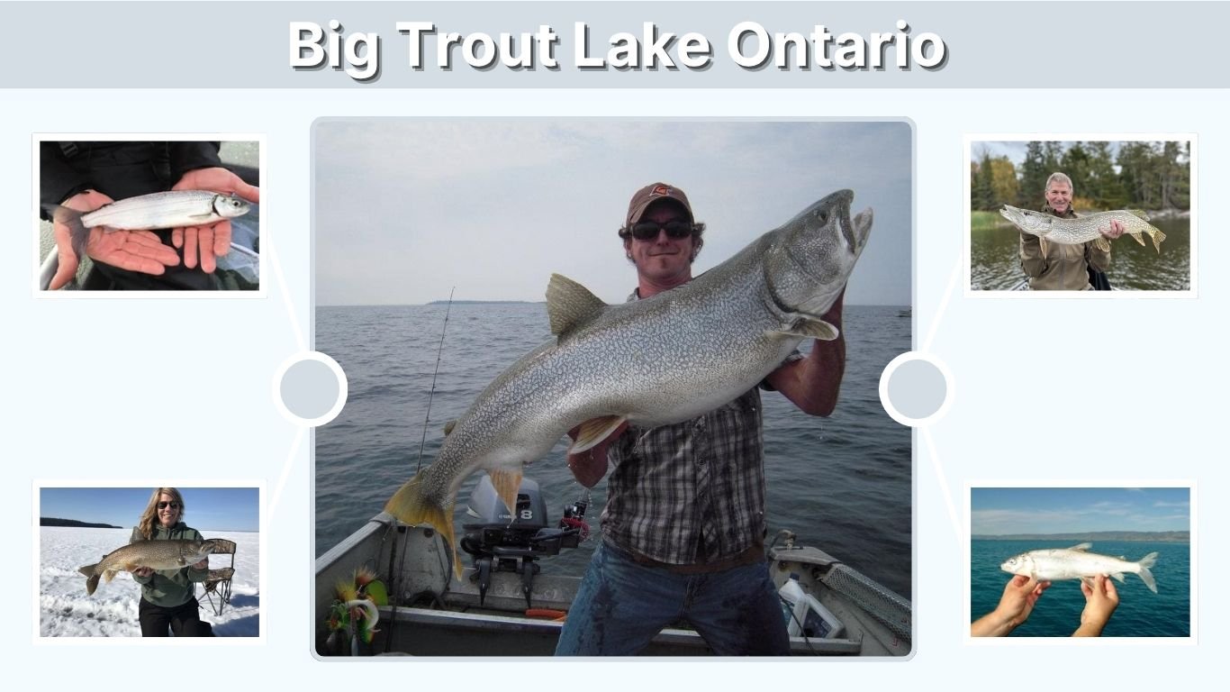 Big Trout Lake Ontario: Location, Fishing & Travel Guide
