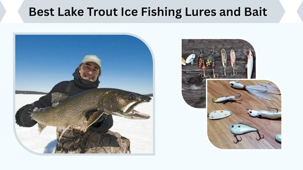 Best Lake Trout Ice Fishing Lures and Bait