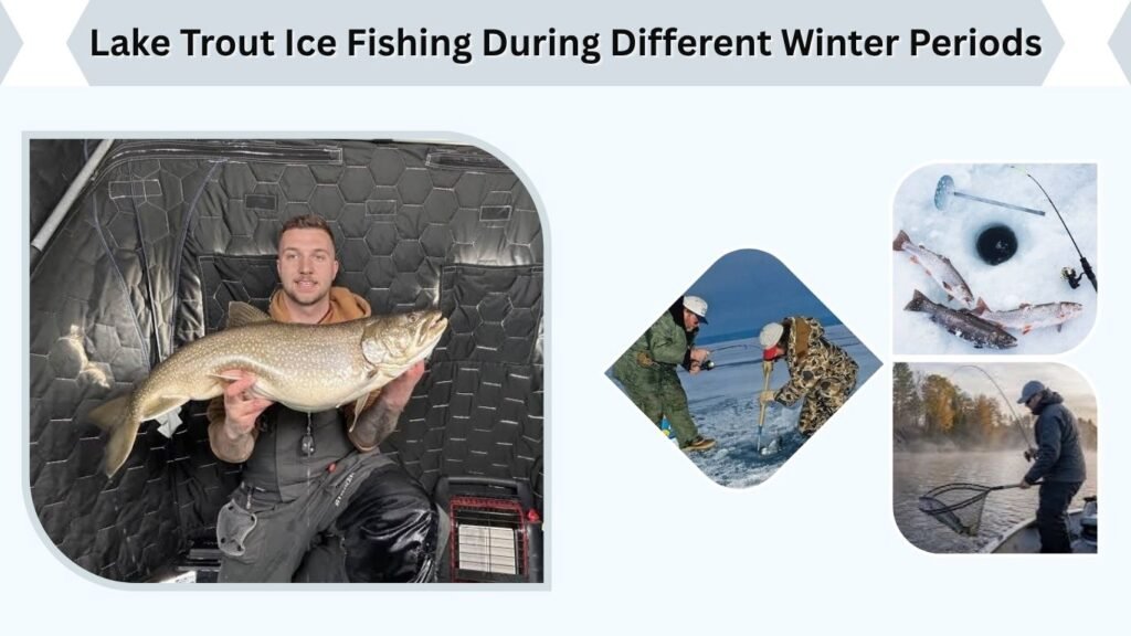 Lake Trout Ice Fishing During Different Winter Periods