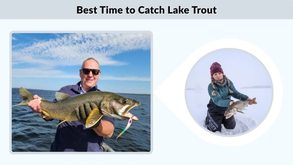 Best Time to Catch Lake Trout