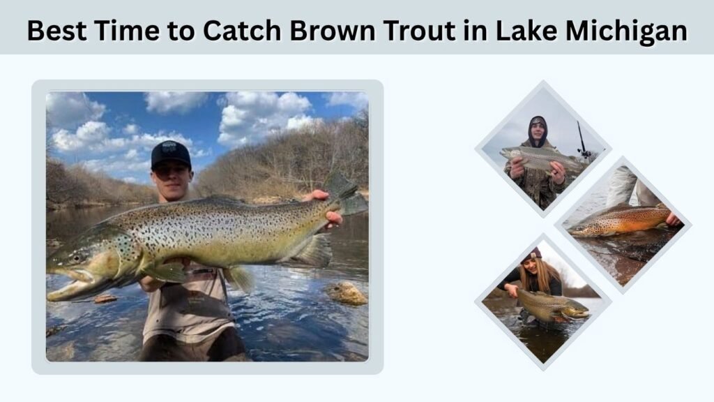 Best Time to Catch Brown Trout in Lake Michigan