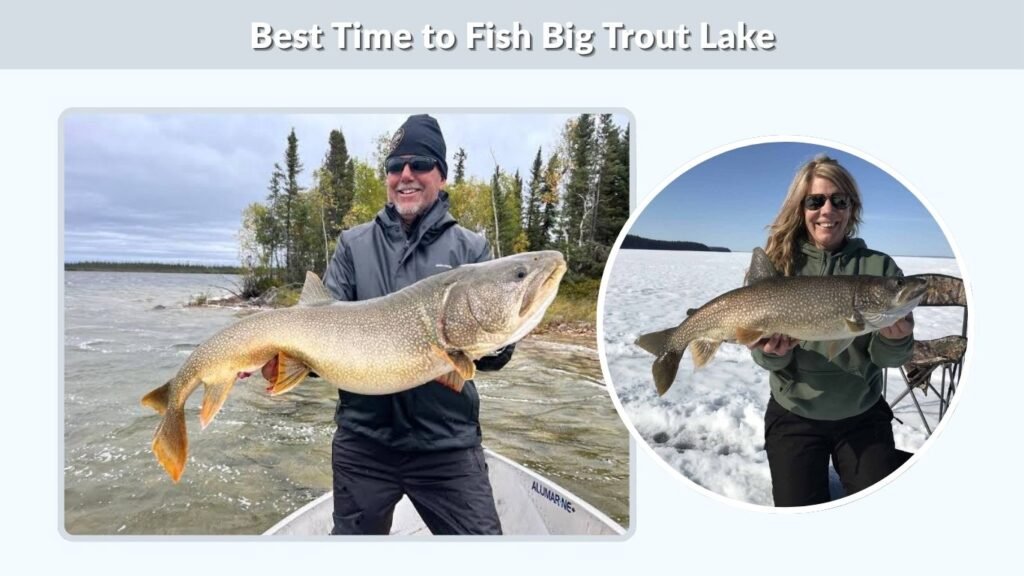 Best Time to Fish Big Trout Lake