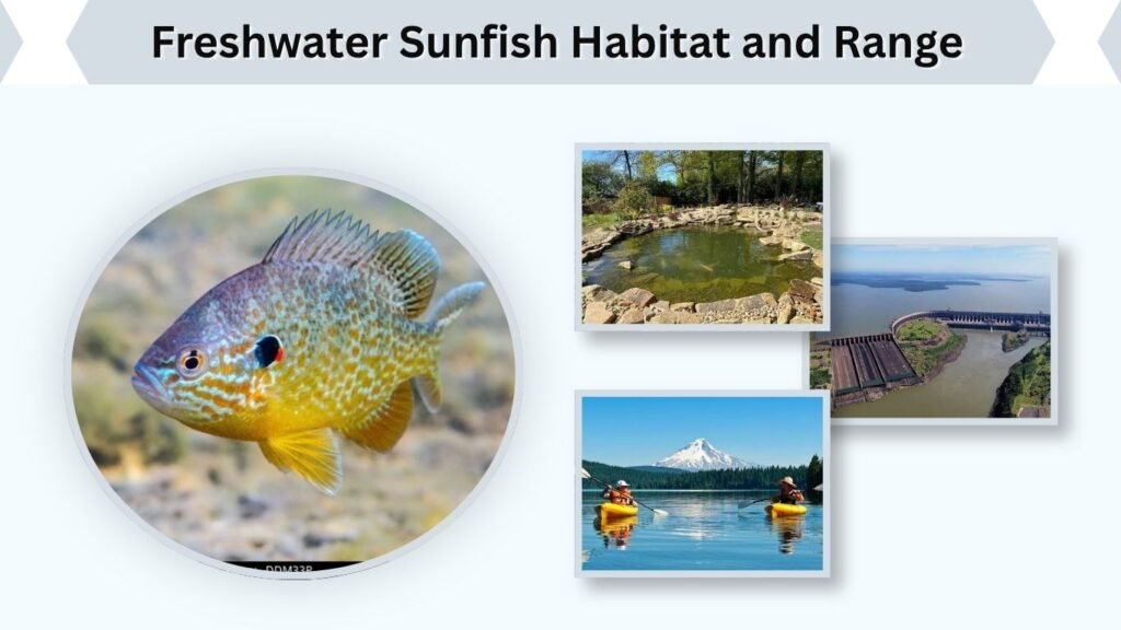 Freshwater Sunfish Habitat and Range