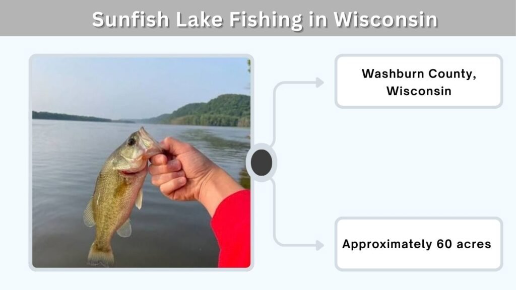 Sunfish Lake Fishing in Wisconsin
