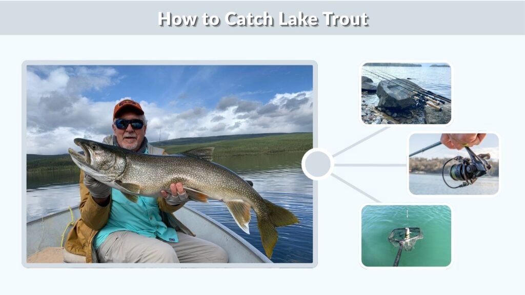 How to Catch Lake Trout