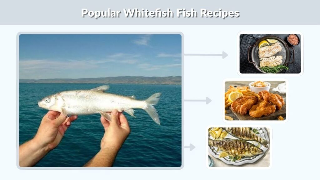 Popular Whitefish Fish Recipes