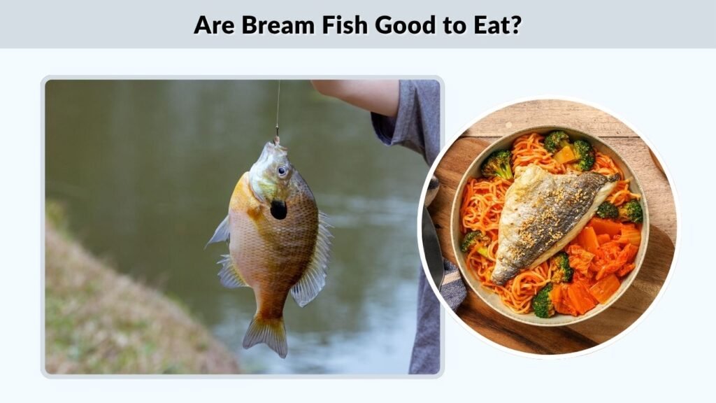 Are Bream Fish Good to Eat?